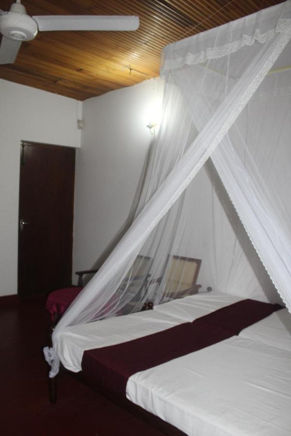 Lazy Bear Best Hostel In Kandy Kültér fotó