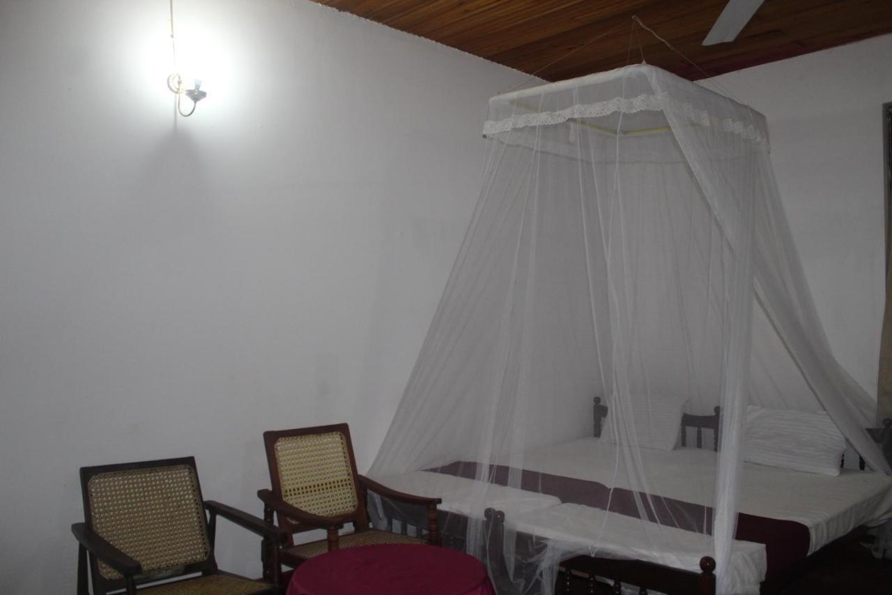 Lazy Bear Best Hostel In Kandy Kültér fotó