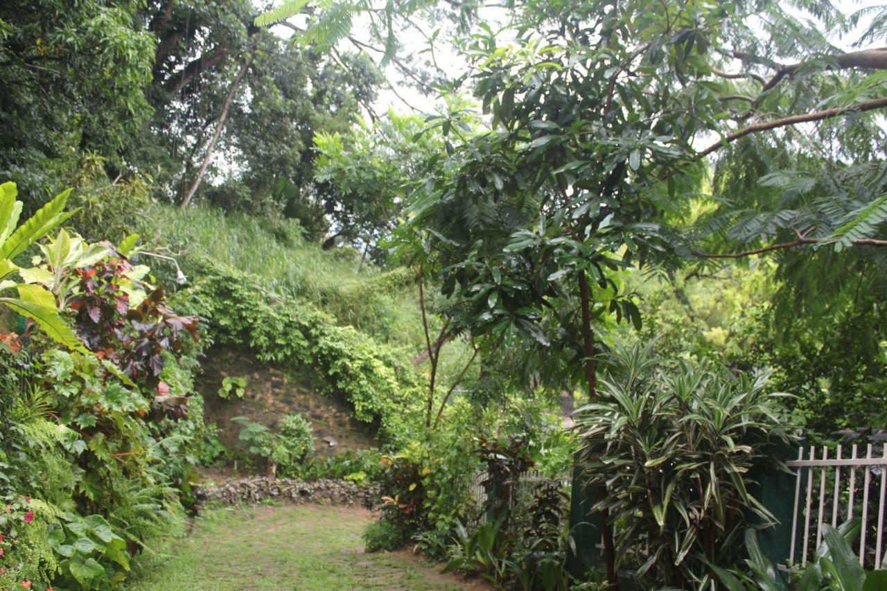 Lazy Bear Best Hostel In Kandy Kültér fotó