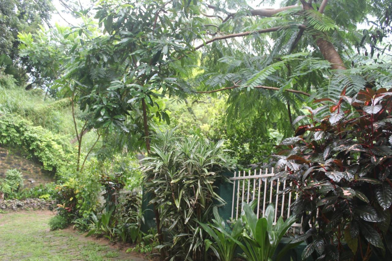 Lazy Bear Best Hostel In Kandy Kültér fotó