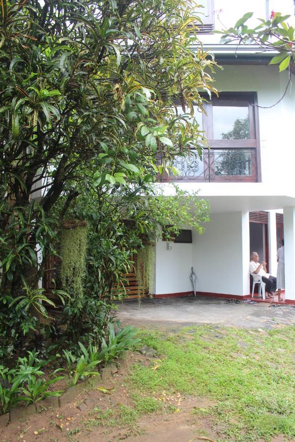 Lazy Bear Best Hostel In Kandy Kültér fotó