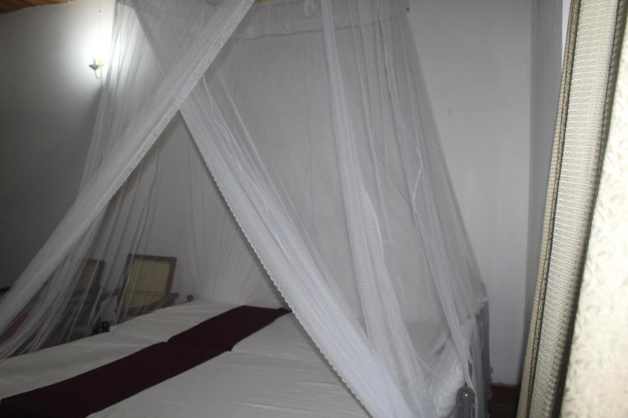 Lazy Bear Best Hostel In Kandy Kültér fotó