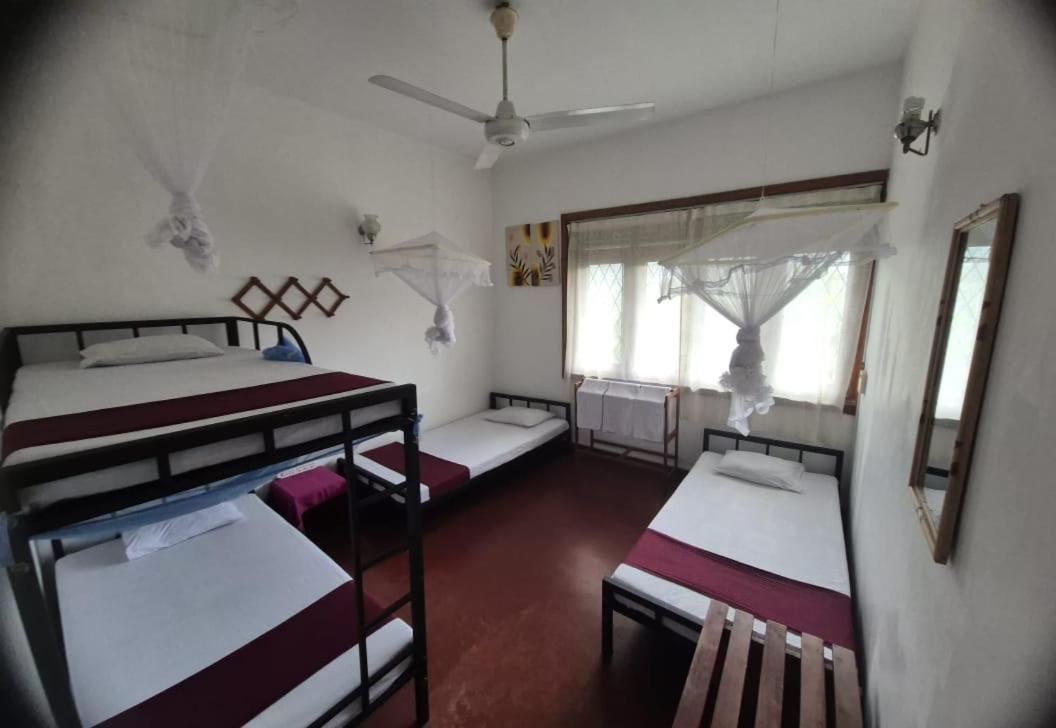 Lazy Bear Best Hostel In Kandy Kültér fotó