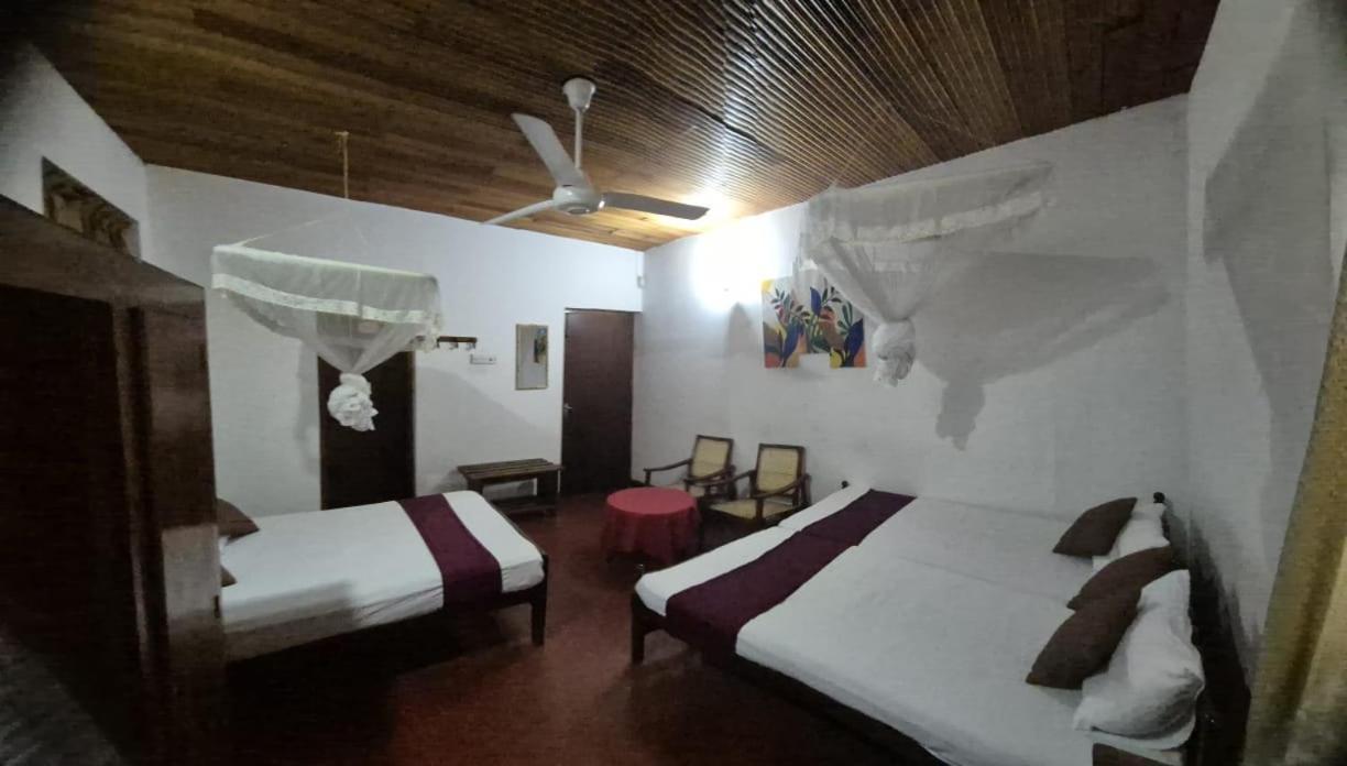 Lazy Bear Best Hostel In Kandy Kültér fotó