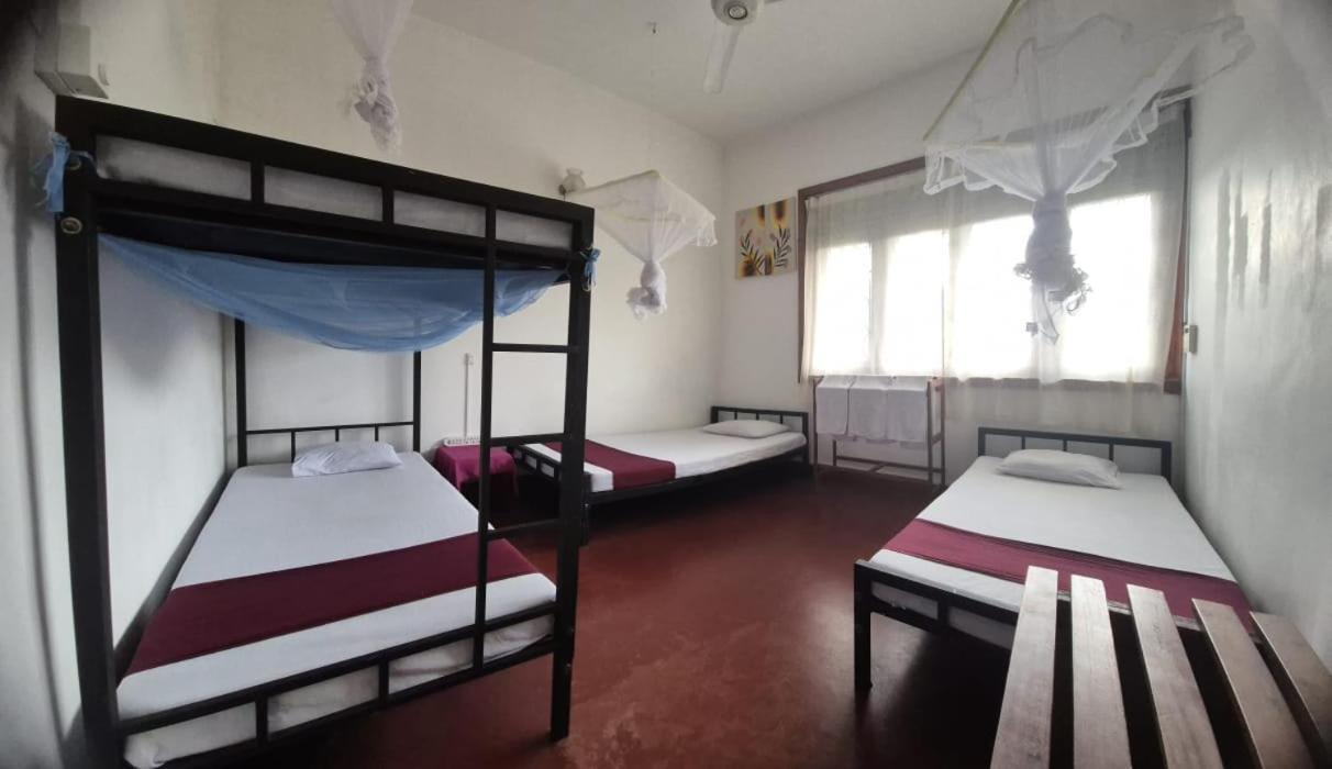 Lazy Bear Best Hostel In Kandy Kültér fotó