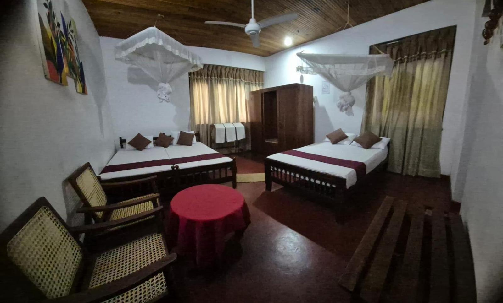 Lazy Bear Best Hostel In Kandy Kültér fotó
